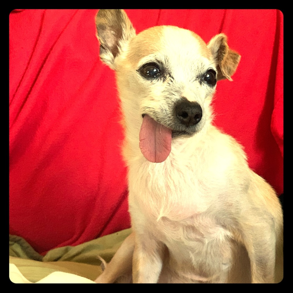 hi there folx!